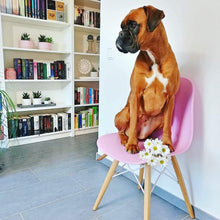 Load image into Gallery viewer, Bristol&lt;br /&gt;Dining Chairs
