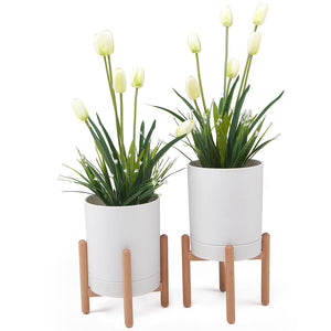 Plant Pots