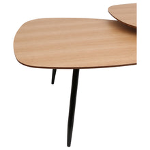 Load image into Gallery viewer, Twintop &lt;br&gt; Coffee Table