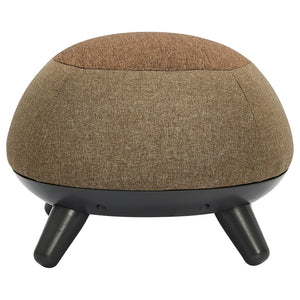 Brown Kids Chair